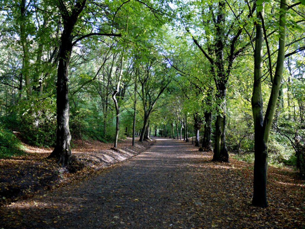 Autumn pathway on Hampstead Heath, north London